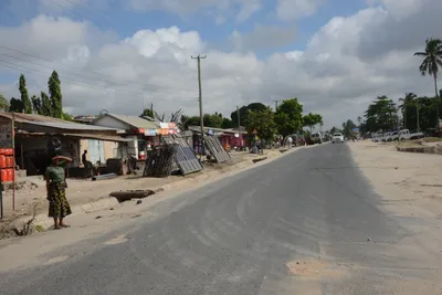 DSC_7520 (Large).JPG